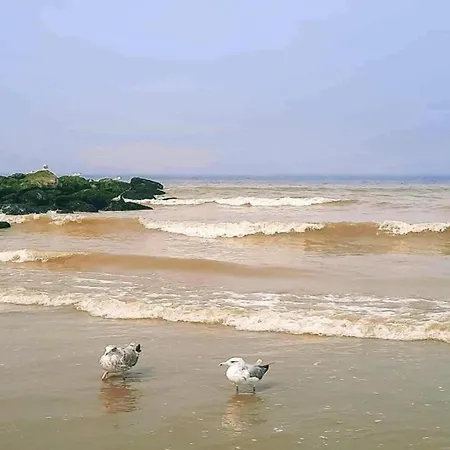 Lägenhet Oceanfront Haven, Cleaning Included